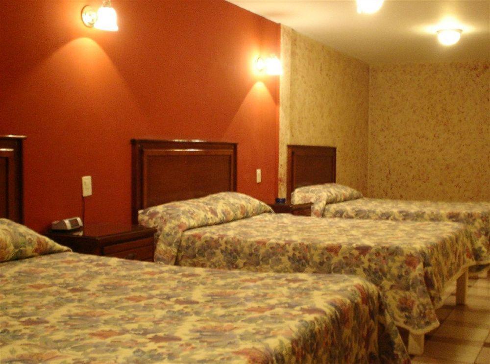 Hotel San Luis San Luis Potosí Dış mekan fotoğraf