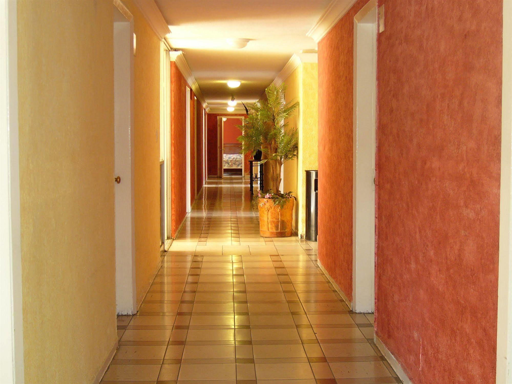 Hotel San Luis San Luis Potosí Dış mekan fotoğraf